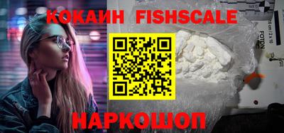 гидра Донецк